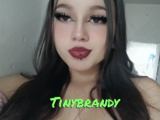 Tinybrandy