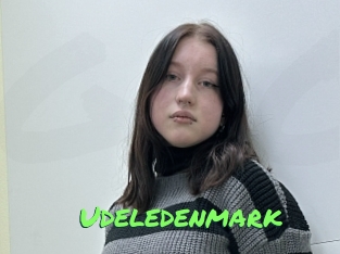 Udeledenmark
