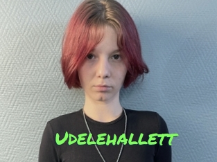 Udelehallett
