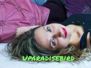 Uparadisebird