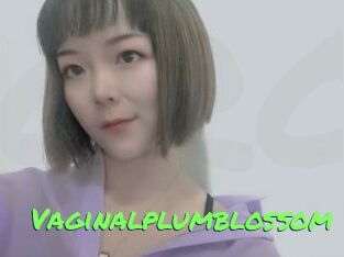 Vaginalplumblossom