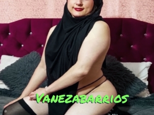 Vanezabarrios
