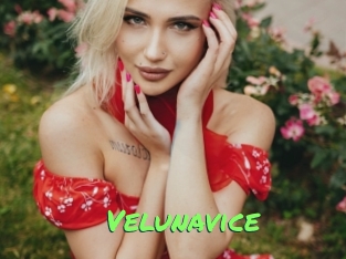 Velunavice