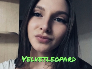 Velvetleopard