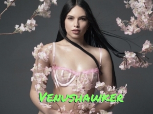 venushawker Gros Seins