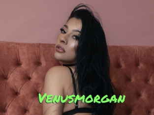 Venusmorgan
