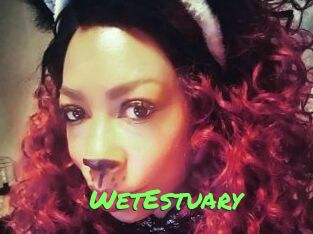 WetEstuary Gros Seins
