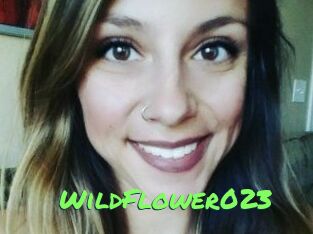 WildFlower023