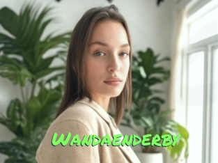 Wandaenderby