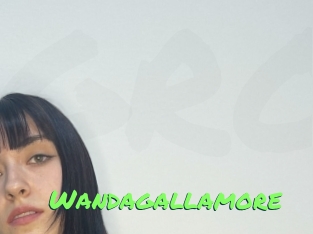 Wandagallamore