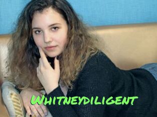 Whitneydiligent