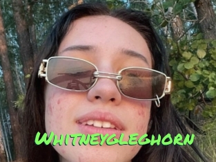 whitneygleghorn Gros Seins