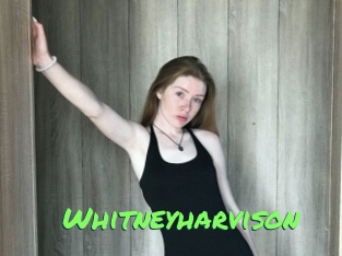 Whitneyharvison