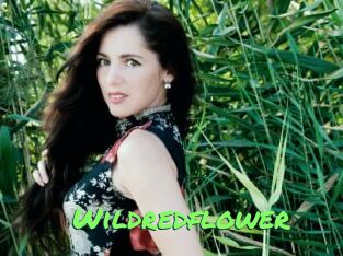 Wildredflower