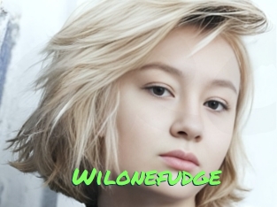 Wilonefudge