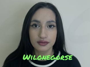 Wilonegorse