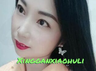 Xingganxiaohuli