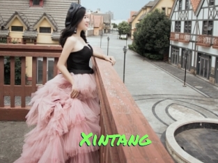 xintang Gros Seins