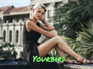 Yourbird